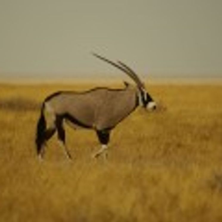 Namibia0017.jpg-for-web-SMALL